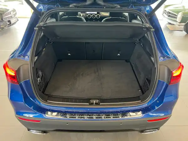MERCEDES-BENZ GLA 220 4M (13/27)