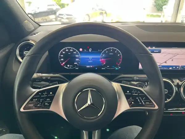 MERCEDES-BENZ GLA 220 4M (17/27)