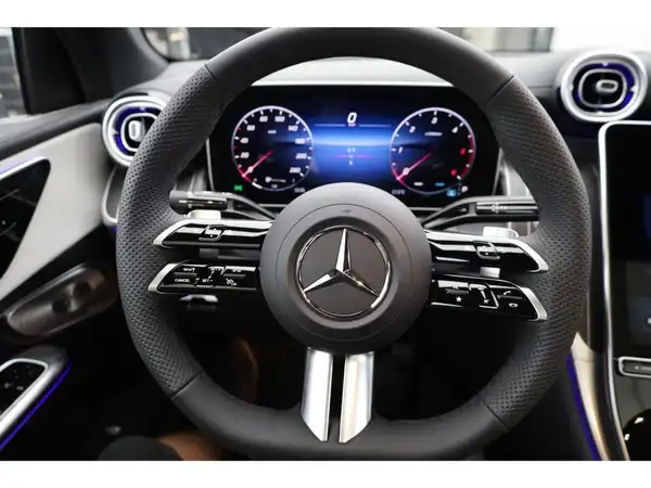MERCEDES-BENZ GLC 220 d 4M (14/24)